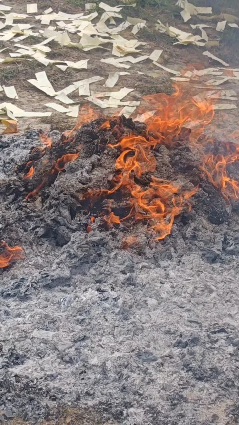 Smoldering Ash and Flames from Traditional Ritual Offering Stock Footage 332056468