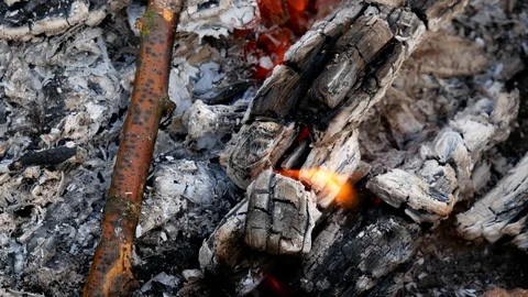 Smoldering ash in camp fire close up footage Stock Footage 125867735