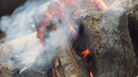 Smoldering bonfire in forest. Stock Footage 170535373