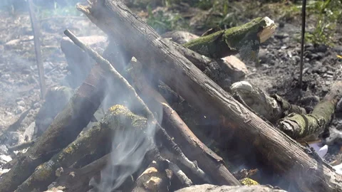 Smoldering bonfire in the forest made of branches Stock Footage 158908458