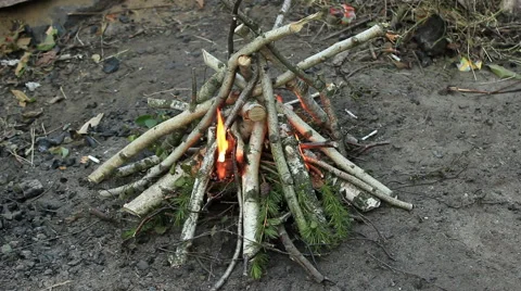 Smoldering, burning campfire. Stock Footage 55461468