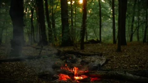 Smoldering Campfire and Smoke Loop 库存影片 342505140