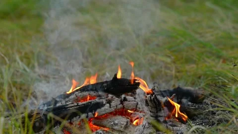 Smoldering Campfire Embers and Ash Wood Loop Video stock 343343420