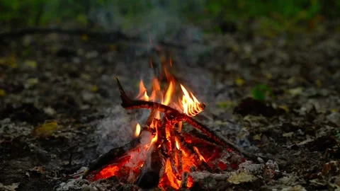 Smoldering Campfire with Smoke and Glowing Embers in Forest Loop Stock-Footage 343607901