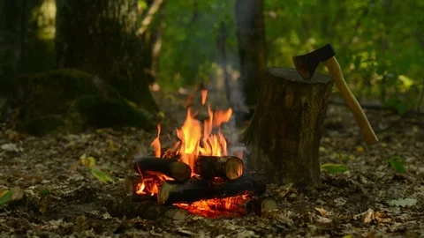 Smoldering Campfire with Smoke and Glowing Embers in Forest Loop Stock Footage 343821704