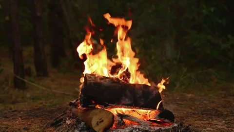 Smoldering Campfire with Smoke and Glowing Embers in Forest Loop Stock Footage 344031073