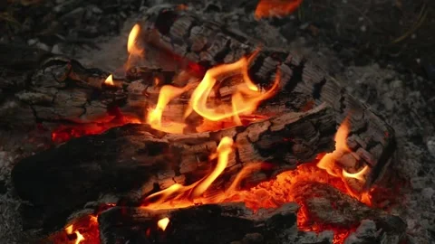 Smoldering Campfire with Smoke and Glowing Embers in Forest Loop Vídeo Stock 344031075