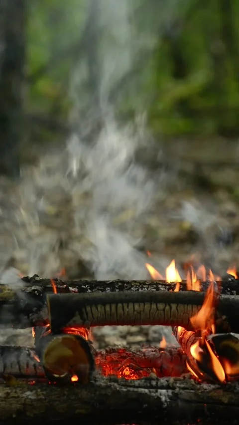 Smoldering Campfire with Smoke and Glowing Embers in Forest Loop. Video stock 344031202
