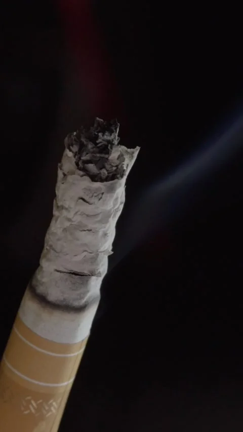 Smoldering Cigarette With Ash Covered Tip Against Dark Background Closeup Видео 347720593