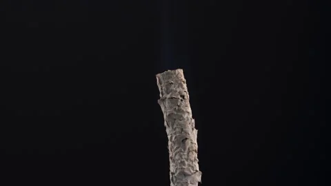 Smoldering cigarette on a black background. Macro. Stock Footage 140337555