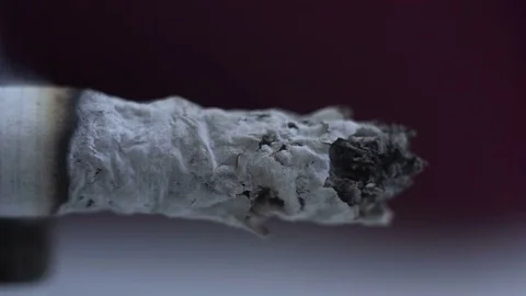 Smoldering cigarette. close-up Stock Footage 73990943