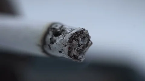 Smoldering cigarette. close-up Stock Footage 73991240