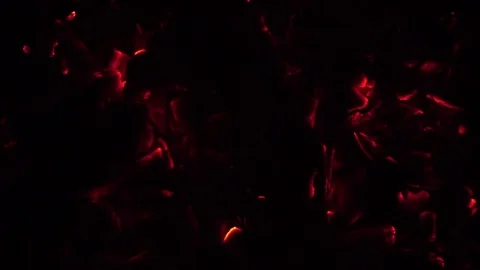 Smoldering coals from the fire. Stock Footage 74363786