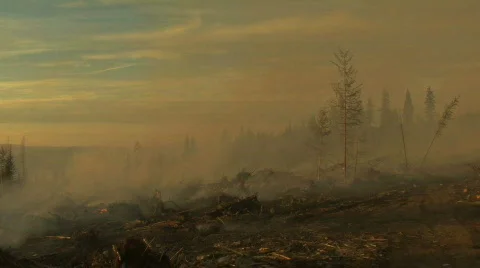 Smoldering Fire Stock Footage 711224