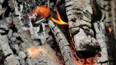 A smoldering fire Stock Footage 50395236