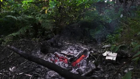 Smoldering fire Stock Footage 81662307