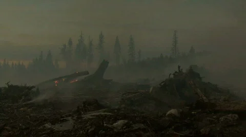Smoldering Fire Pile Stock Footage 711489