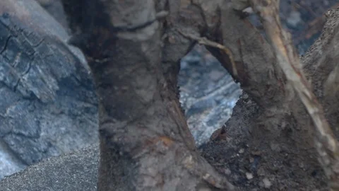 Smoldering Fire_2 Stock Footage 122427653