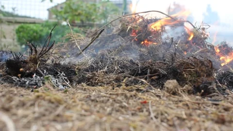 Smoldering garden debris fire with active flames and thick smoke Vídeo Stock 342775526