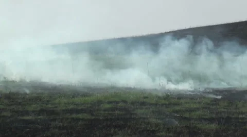 Smoldering Grass Fire Stock Footage 54754618