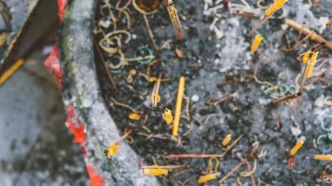 Smoldering incense in a Buddhist temple close-up. Excursions on Buddhist temp Stock Photos