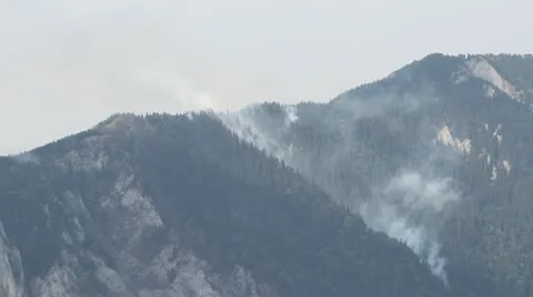 Smoldering mountain forest fire Video stock 12094524