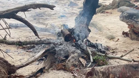 Smoldering Remains of a Bonfire with White Ash on a Sandy Beach Stock Footage 330145507