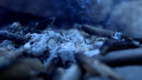 Smoldering remains of campfire Stock Footage