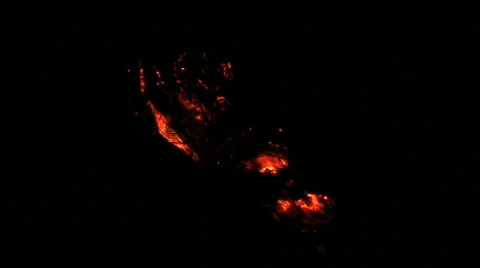 Smoldering Tree Trunk Stock Footage 800097