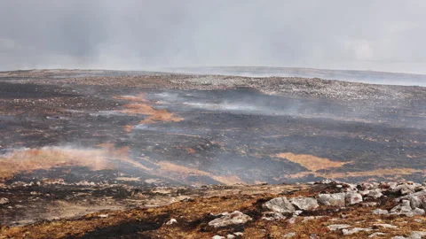 Smoldering Wildfire Aftermath on Charred Moorland, Handheld Pan Stock-Footage 343574635