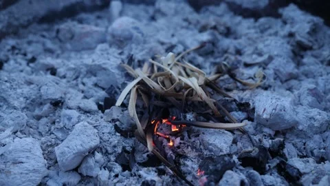 Smoldering wood chips among ashes. Stock Footage 335885268