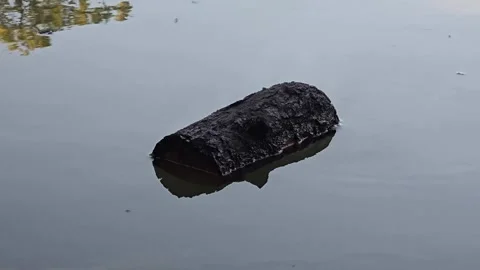 Smoldering wood log with light smoke on the shore near the water Stock Footage 341676752