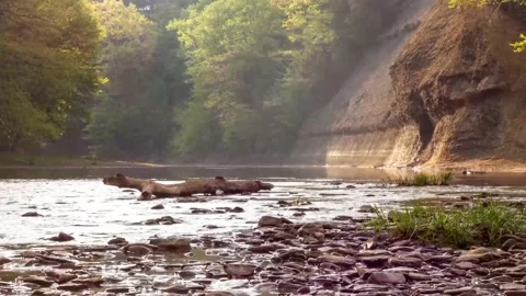 Smolen-Gulf Hyper lapse 스톡 동영상 207871481