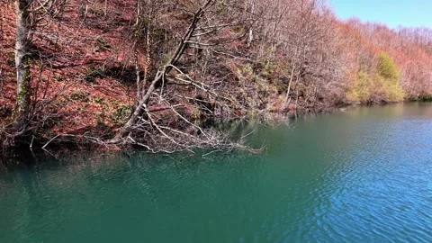 Smooth 4K Drone Flight Gliding Low Over a Crystal Blue Autumn Lake Stock Footage 339177744
