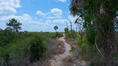 Smooth 4K trail video! Stock Footage 154483447