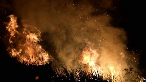 Smooth 60fps slow motion flames Stock Footage 160448475