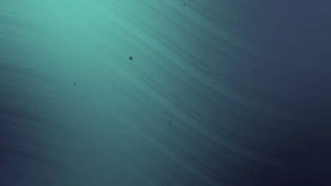 Smooth Abstract Gradient Background with Dark Teal and Black Accents Stock Footage 295047214