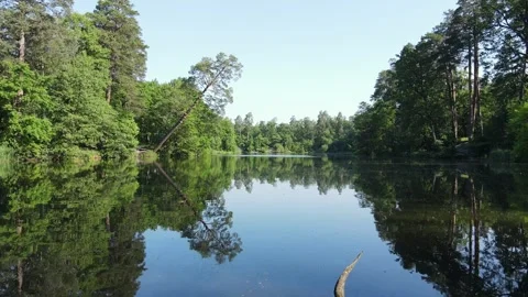 Smooth Aerial Drone Flight Over Calm Lake Surrounded by Forest. Stock Footage 310531448