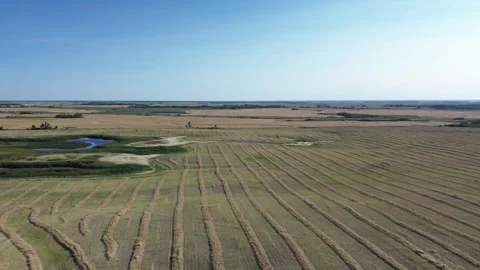 Smooth aerial drone pan over a vast, harvested agricultural landscape. Stock Footage 316638264