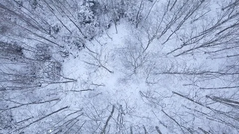 Smooth Aerial head over winter cinematic drone shot of bavarian forest in Munich Stock Footage 100969030