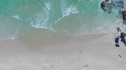 Smooth aerial pan over the beach with a running dog - Full HD Drone Footage Stock-Footage 65255059