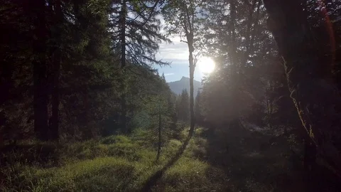 Smooth Aerial Shot Thru Woods Forest To Reveal Mountain Forest View Stock Footage