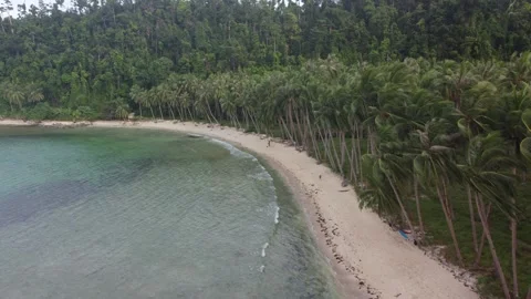 Smooth Aerial View of Coconut Beach, Port Barton, Palawan, Philippines droneshot Stock Footage 245752099