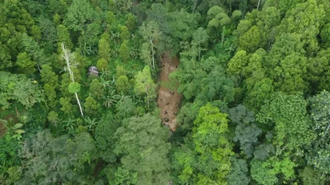 Smooth aerial view of Gitgit waterfall, Bali, Indonesia Stock Footage 246325841