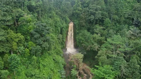 Smooth aerial view of the Gitgit waterfall, Bali, Indonesia Stock Footage 246326367
