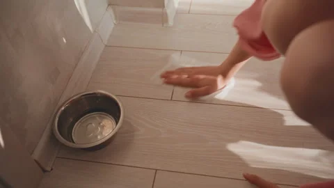 Smooth And Simple Steps To Keep Your Residence Spotless Regularly, Rapid And Stock Footage 327086921