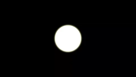 Smooth animated circle signal representing online connection, network statu.. Stock Footage 320122875