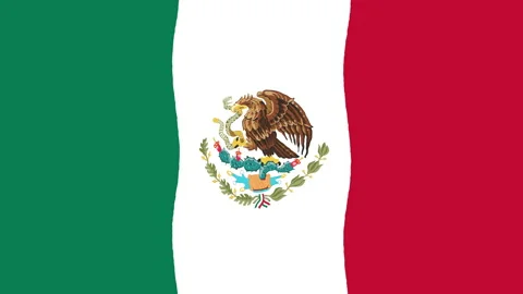 Smooth Animated Wavy Flag of Mexico Loop Background in Green White and Red Tones Stock Footage 204007208