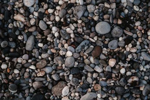 Smooth background with a texture of different sizes of pebbles. Pebble beach Stock Photos