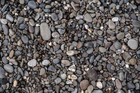 Smooth background with a texture of different sizes of pebbles. Pebble beach Stock Photos